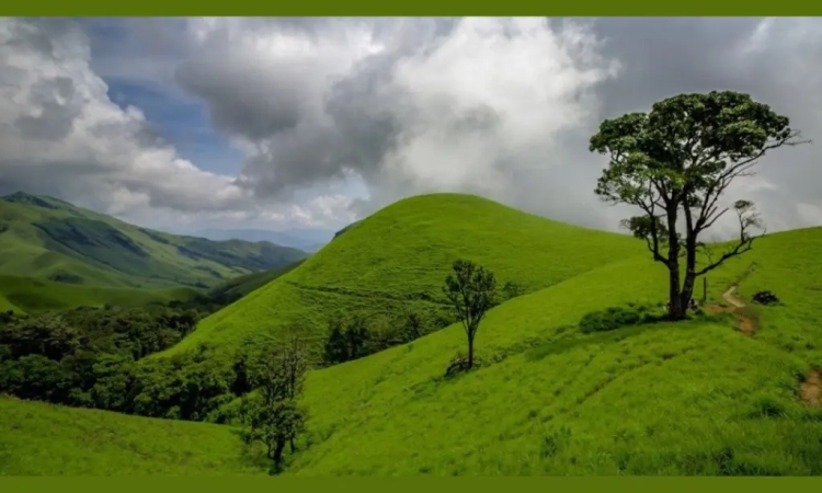 Kudremukh National Park (70 km)